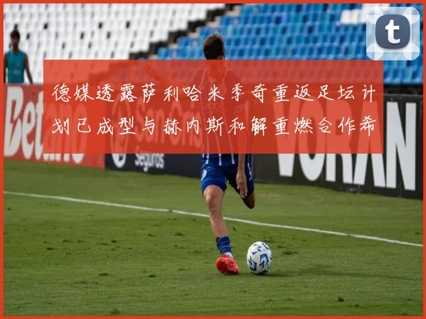 德媒透露萨利哈米季奇重返足坛计划已成型与赫内斯和解重燃合作希望