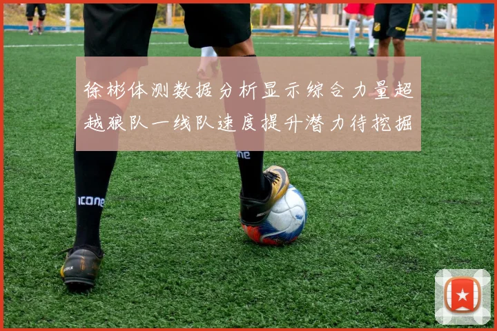 徐彬体测数据分析显示综合力量超越狼队一线队速度提升潜力待挖掘
